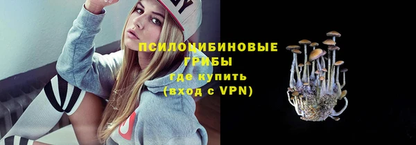apvp Богородицк