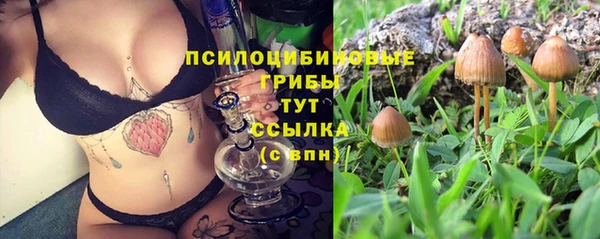 кристаллы Богданович