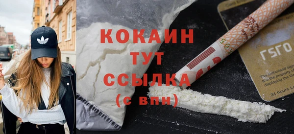 apvp Богородицк